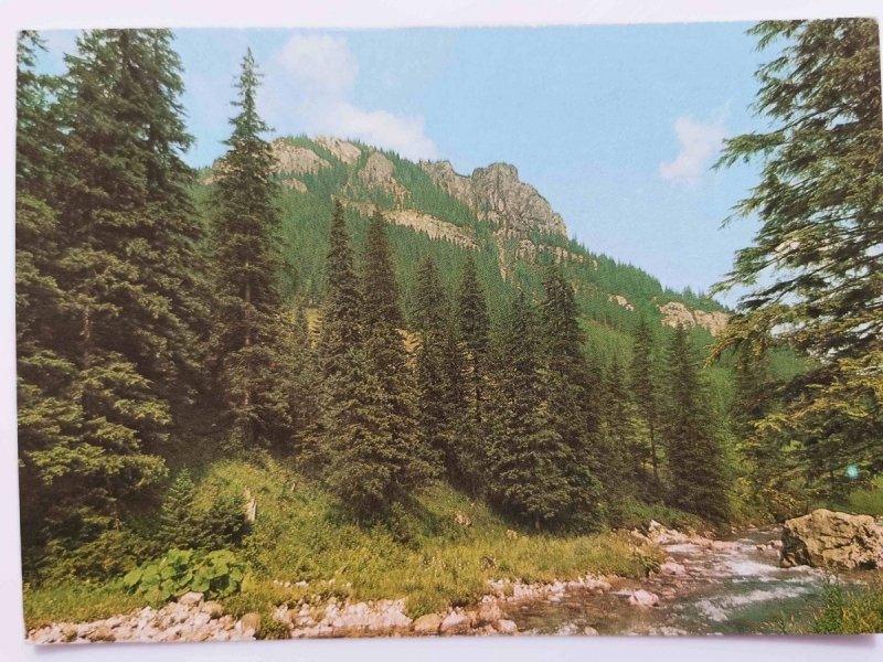 TATRY ZACHODNIE. DOLINA KOŚCIELISKA FOT. OLSZEWSKI