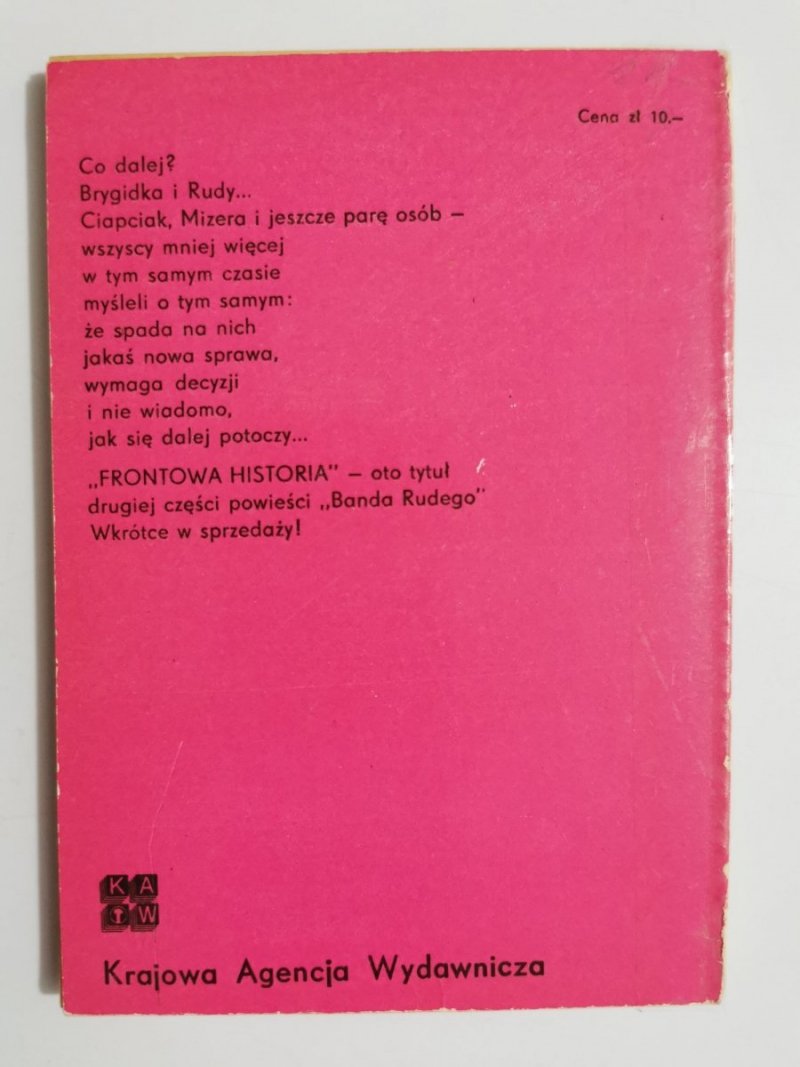 BANDA RUDEGO TOM 1 TAKI SOBIE PAJĄK - Janusz Domagalik 1976