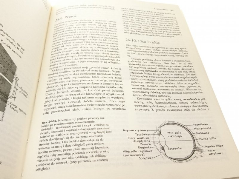 BIOLOGIA - Claude A. Villee 1990