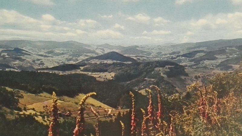 LES VOSGES PITTORESQUES