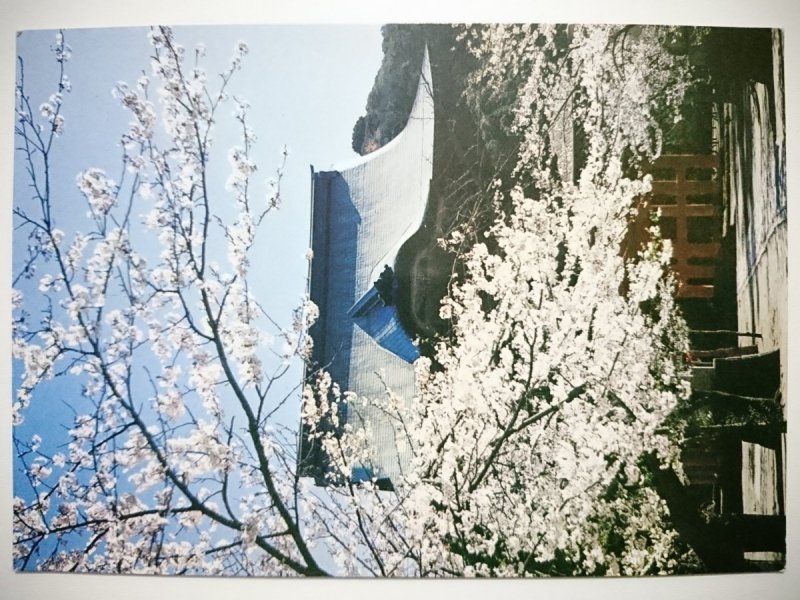 JAPAN. THE KENCHOJI TEMPLE AND CHERRY FLOWERS AT THEIR BEST