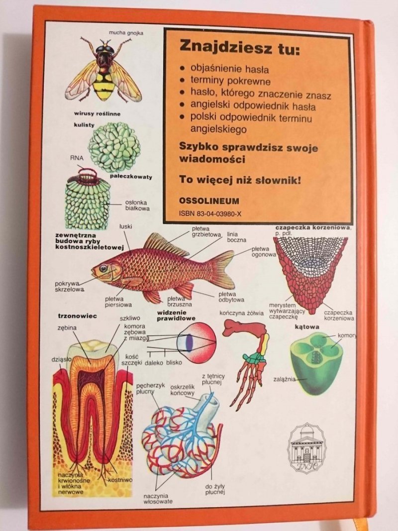 ILUSTROWANY SŁOWNIK BIOLOGICZNY - Neil Curtis 1996