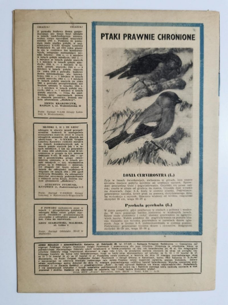 HODOWCA GOŁĘBI POCZTOWYCH NR 2 1966