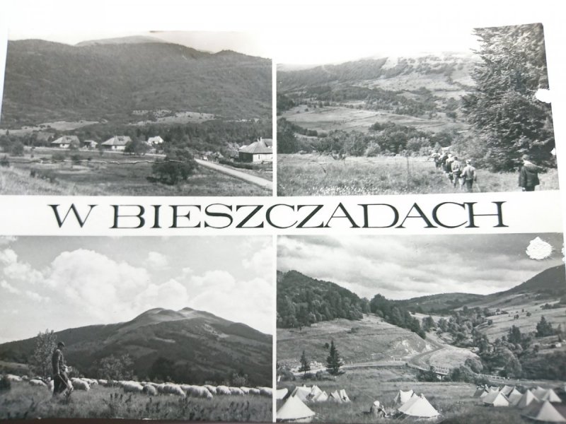 BIESZCZADY. WIDOK NA SMEREK. FOT. Z. POSTĘPSKI