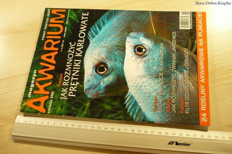 MAGAZYN AKWARIUM NR 6/2003 (19) BEZ PLAKATU