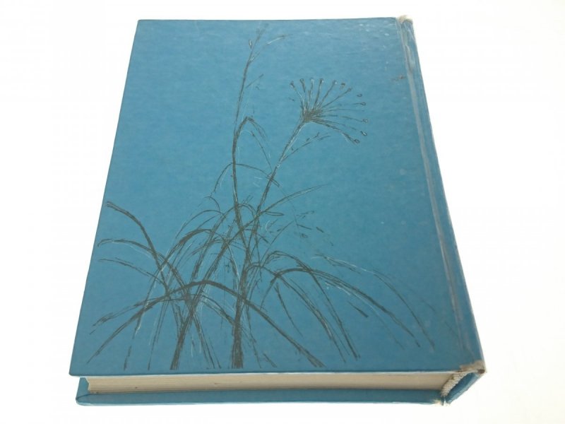 BIBLIA W OBRAZKACH DLA NAJMŁODSZYCH - Taylor 1989