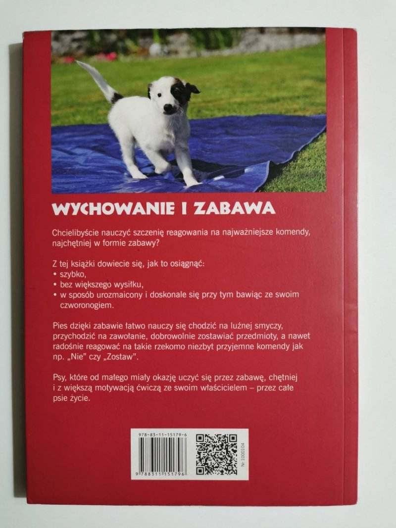 PIES. GRY I ZABAWY EDUKACYJNE - Corinna Lenz 