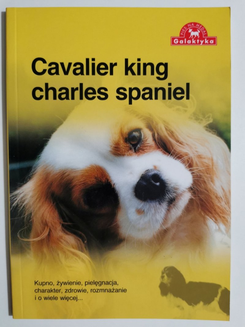CAVALIER KING CHARLES SPANIEL 