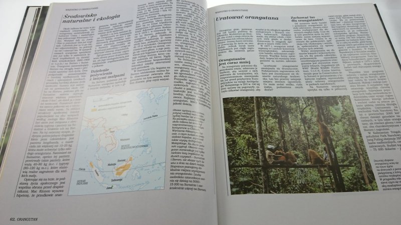 DŻUNGLA. ENCYKLOPEDIA DZIKICH ZWIERZĄT 1992