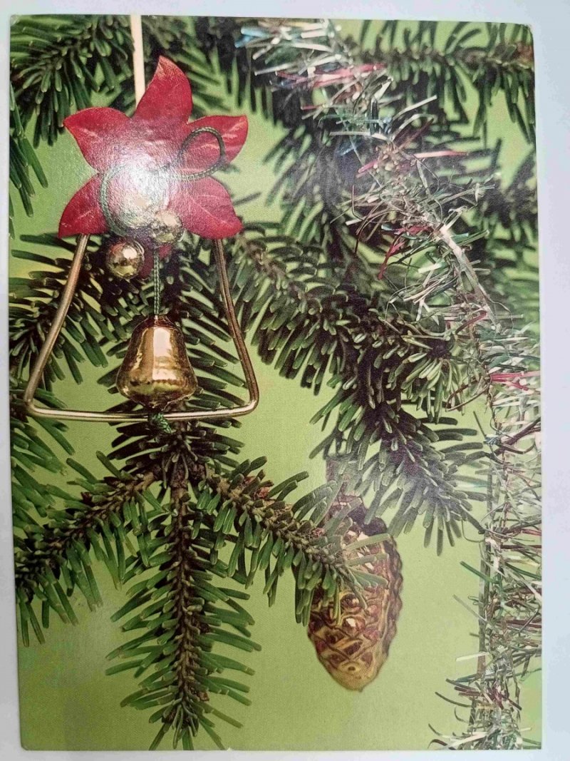 DZWONECZEK I SZYSZKA A. GLANDA
