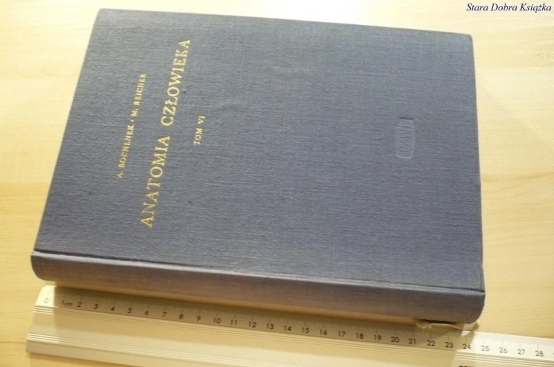 ANATOMIA CZŁOWIEKA TOM VI - A. Bochenek (1963)