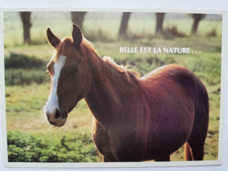 BELLE EST LA NATURE...