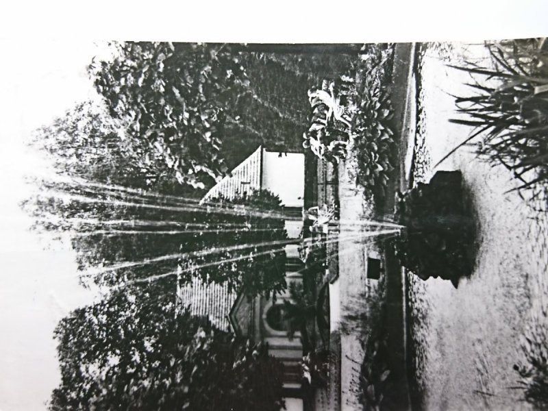 DUSZNIKI-ZDRÓJ - FRAGMENT PARKU