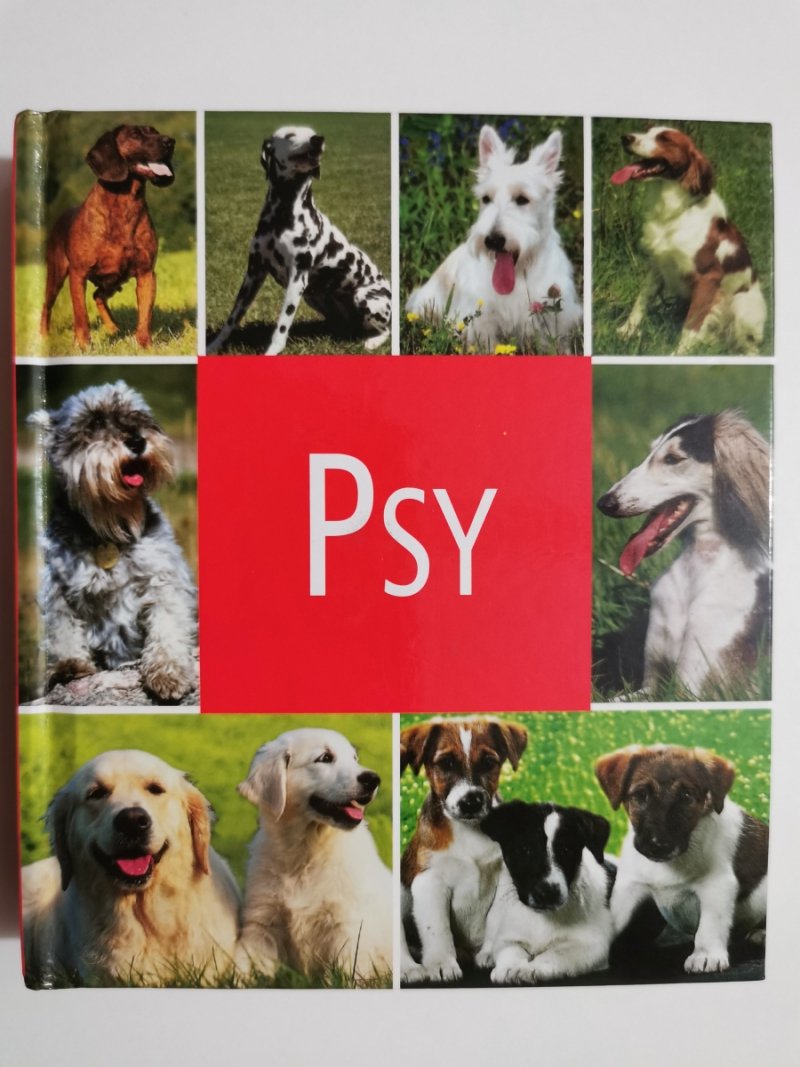 PSY. Album