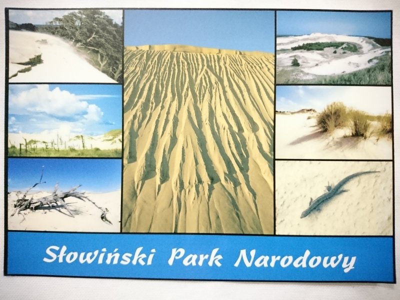 SŁOWIŃSKI PARK NARODOWY. WYDMY RUCHOME FOT. MARIUSZ ZIELONKA