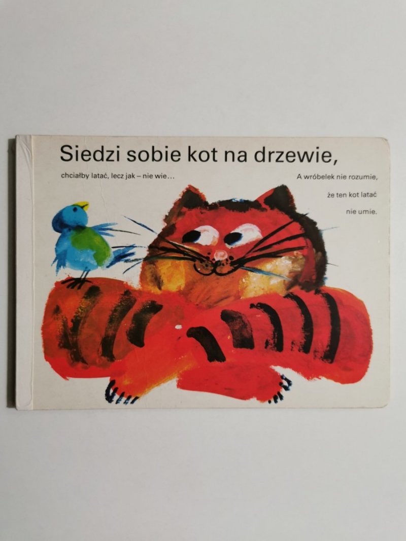 SIEDZI SOBIE KOT NA DRZEWIE 