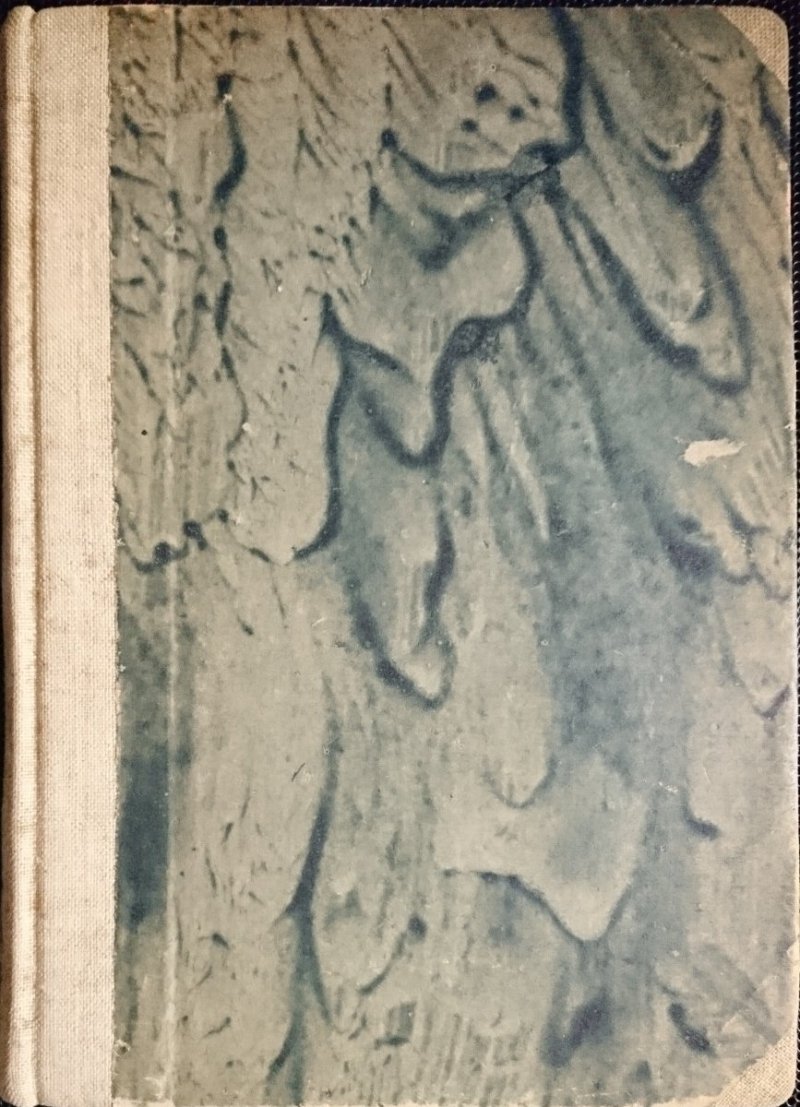 STO TYSIĘCY DLACZEGO - M. Iljin 