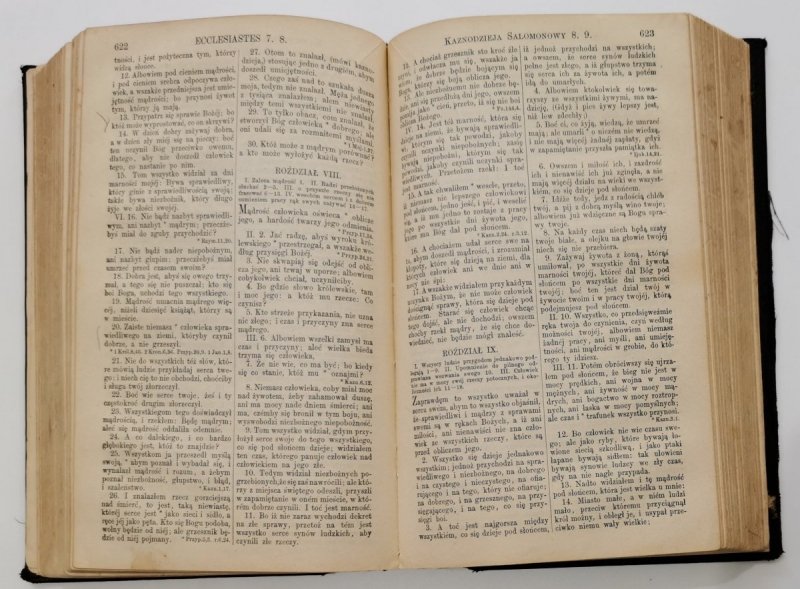 BIBLIJA  ŚWIĘTA TO JEST WSZYSTKO PISMO ŚWIĘTE STAREGO I NOWEGO TESTAMENTU 1889 r.