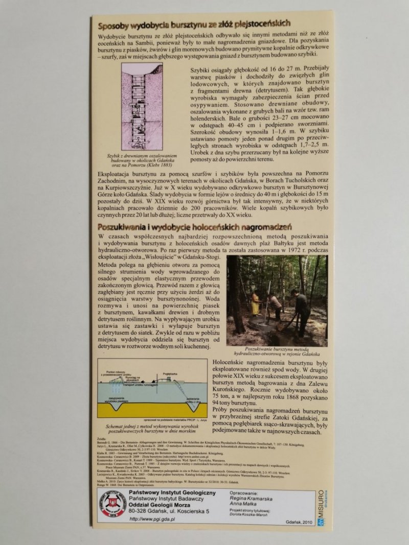 BURSZTYN BAŁTYCKI. HISTORIA NATURALNA ZŁOŻA I WYDOBYWANIE 2010