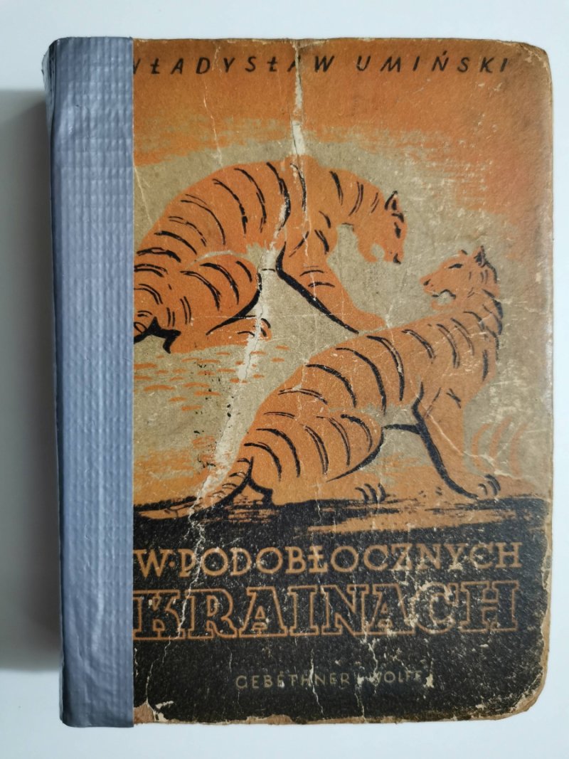 W PODOBŁOCZNYCH KRAINACH 1900 - Władysław Umiński
