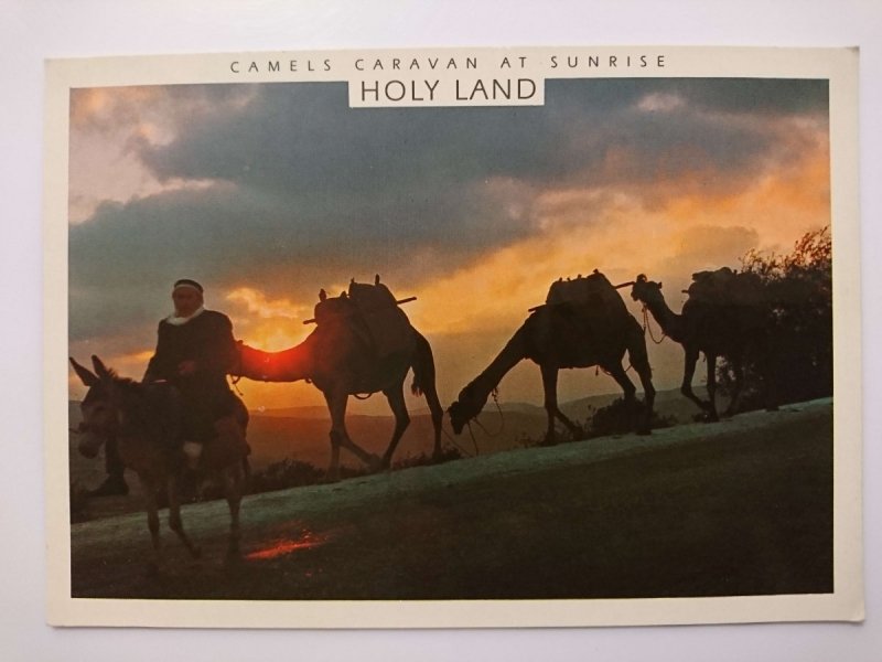 CAMELS CARAVAN AT SUNRISE HOLY LAND