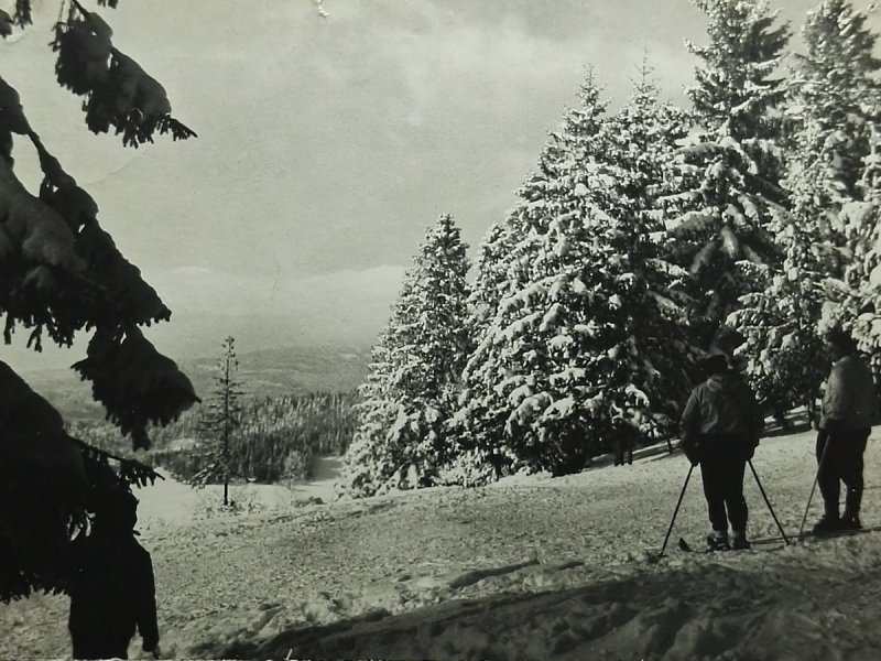 KRYNICA. NA GÓRZE PARKOWEJ FOT. L. ŚWIĘCKI