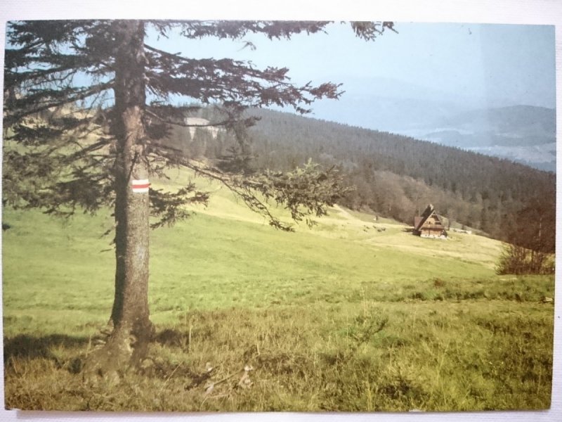 BESKID ŻYWIECKI (BESKID WYSOKI) NA ZBOCZACH WIELKI RYCERZEOWEJ FOT. SZYMAŃSKI
