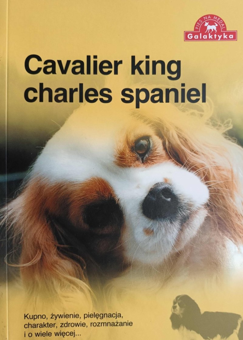 CAVALIER KING CHARLES SPANIEL