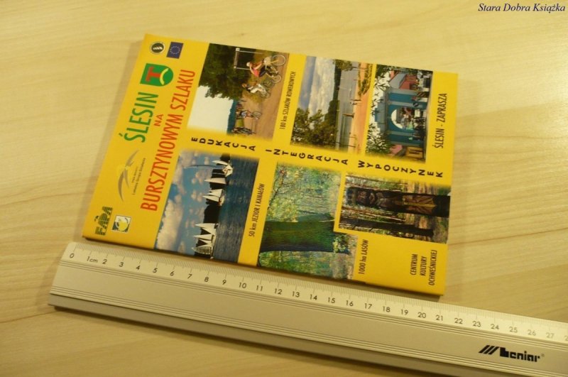 ŚLESIN NA BURSZTYNOWYM SZLAKU (2008)
