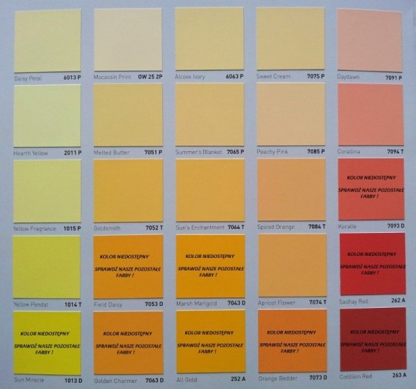 GIOLLI PAINT - 5L (biała farba winylowo-akrylowa - wewnętrzna z możliwością barwienia)