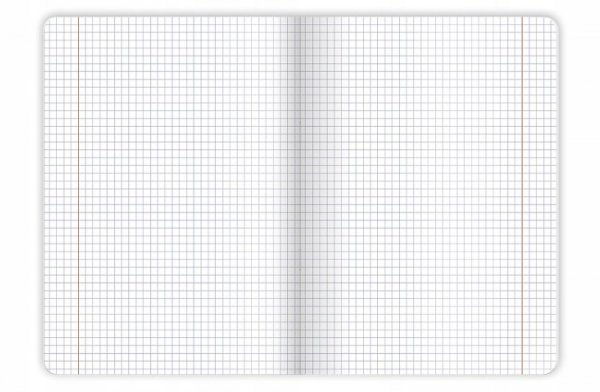 Zeszyt A5 96k kratka margines BOTANY 400182448 TOP 2000