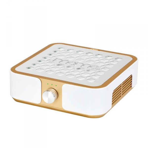 Pochłaniacz pyłu MOMO P30 60W złoty