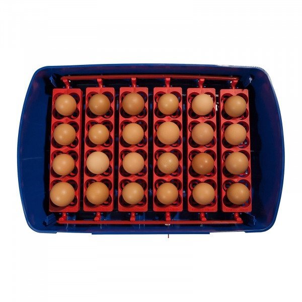 Inkubator do jaj - 24 jaja - dozownik wody - półautomatyczny BOROTTO 10370006 REAL 24 SEMI-AUTOMATIC