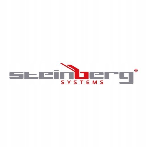 Rejestrator temperatury i wilgotności - LCD - -50-350°C - 0-100% RH - USB / Wi-Fi STEINBERG 10030918 SBS-MMF-100