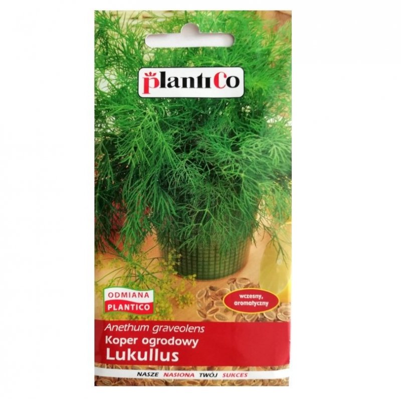 Koper ogrodowy LUKULLUS nasiona 5 g PLANTICO