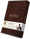 Harry Potter - Karty do gry zestaw 8 talii Harry Potter vs Lord Voldemort