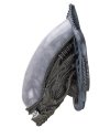 Alien Trophy Plaque Xenomorph (pianka gumowa/lateks) 78 cm