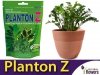 Planton Z 