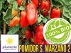 BIO nasiona Pomidor, nasiona ekologiczne, Pomidor S.Marzano 2