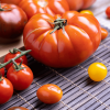 Pomidor Marmande uprawa