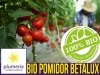 BIO Pomidor karłowy Betalux nasiona ekologiczne 
