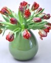 zachwycające tulipany papuzie