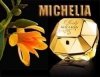 Piekny Michelia champaca Kwiat Perfum 
