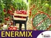 enermix , do ochrony pomidorów, papryk
