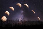 Kalendarz księżycowy – jak Księżyc wpływa na rośliny?