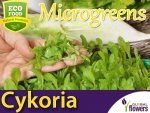 Microgreens - Cykoria liściowa 3g