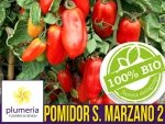 BIO Pomidor pod osłony S. MARZANO 2  nasiona ekologiczne 0,5g
