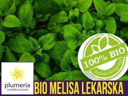 BIO Melisa lekarska nasiona ekologiczne 0,2g 