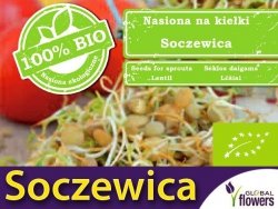 BIO Soczewica - nasiona na kiełki ekologiczne 30g