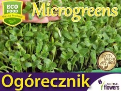 Microgreens - Ogórecznik lekarski (Borago officinalis) 20g